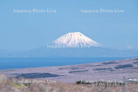 羊蹄山と噴火湾