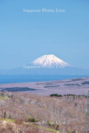 羊蹄山と噴火湾