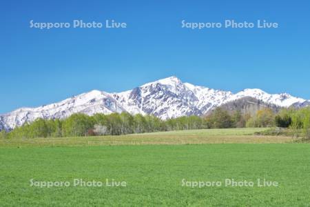 夕張山地と秋まき小麦