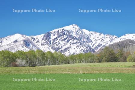 夕張山地と秋まき小麦