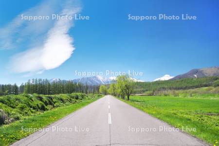 日高山脈と道