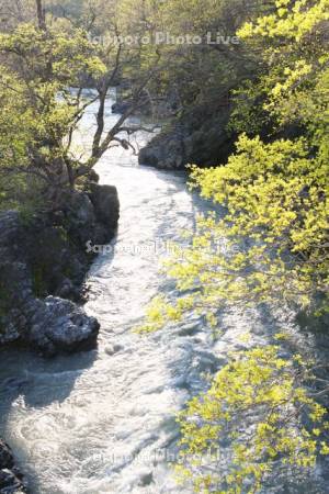 滝上渓谷（渚滑川）の新緑　錦仙峡