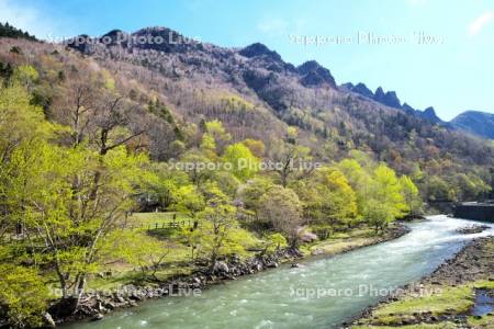層雲峡と石狩川の新緑