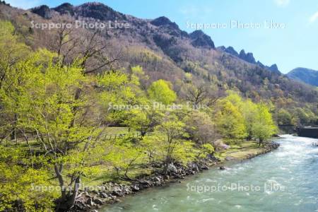 層雲峡と石狩川の新緑
