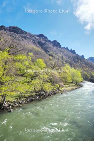 層雲峡と石狩川の新緑