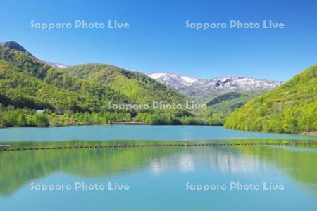 オタルナイ湖と新緑