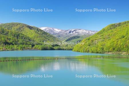 オタルナイ湖と新緑