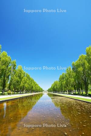 前田森林公園とカナール