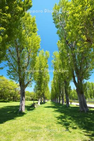 前田森林公園