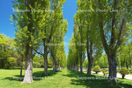 前田森林公園