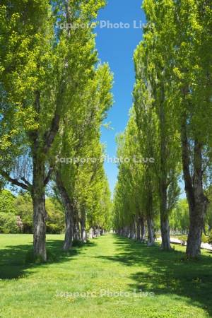 前田森林公園