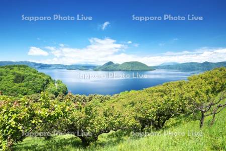 壮瞥公園の梅林と洞爺湖と中島