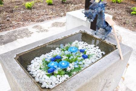 鹿追神社の花手水　しかおい花フェスタ