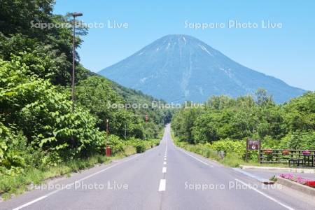 国道276号と羊蹄山