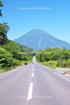 国道276号と羊蹄山