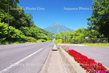 国道276号と羊蹄山