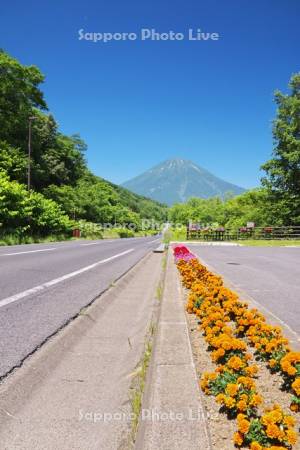 国道276号と羊蹄山