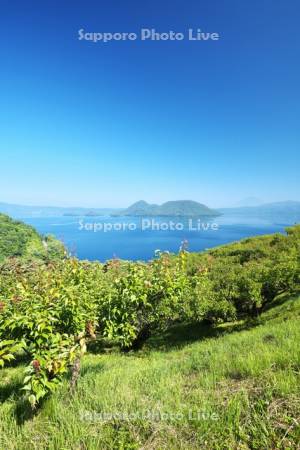 壮瞥公園と洞爺湖と中島