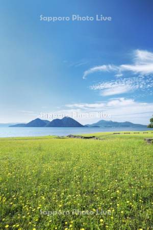 洞爺湖と中島とタンポポモドキ