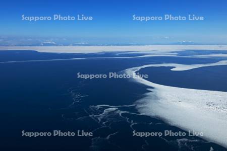 知床岬沖から国後島