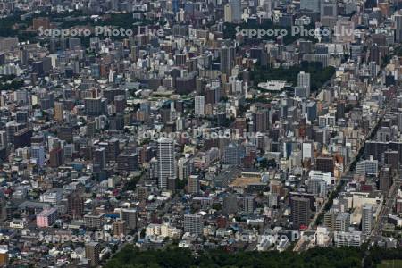 円山周辺　北1西25付近