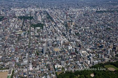 円山より大通公園　北1条通り
