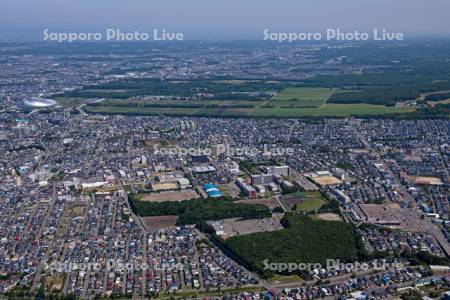 西岡中央公園周辺