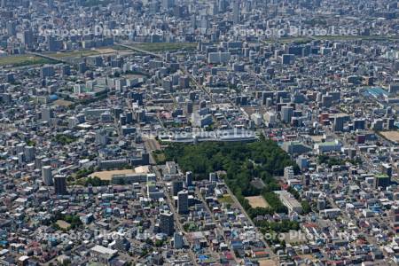 豊平公園きたえーる周辺