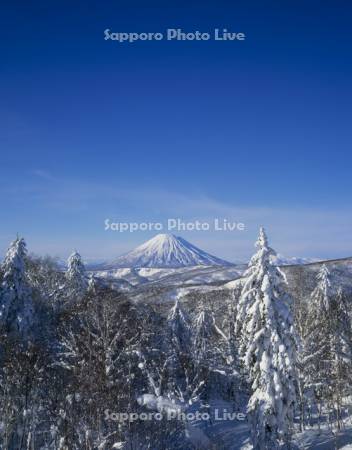 中山峠