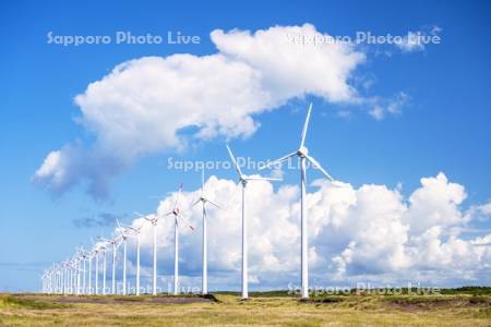 オトンルイ風力発電所