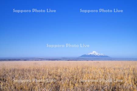 秋のサロベツ原野