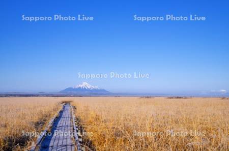 木道と秋のサロベツ原野