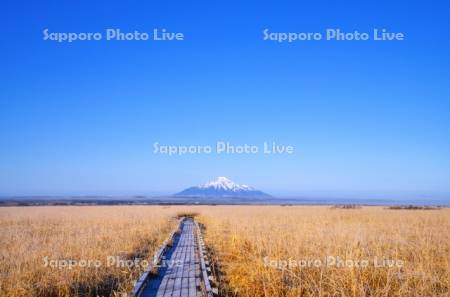 木道と秋のサロベツ原野