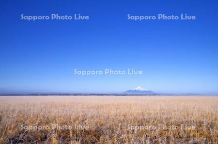 秋のサロベツ原野