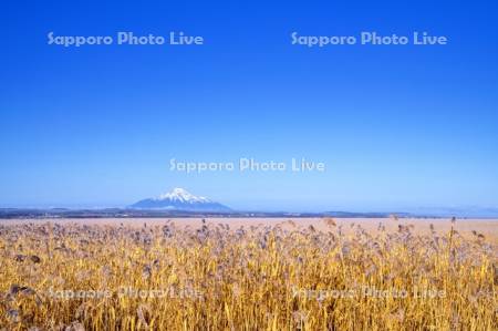 秋のサロベツ原野