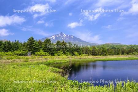 南浜湿原と利尻山