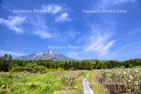 南浜湿原と利尻山