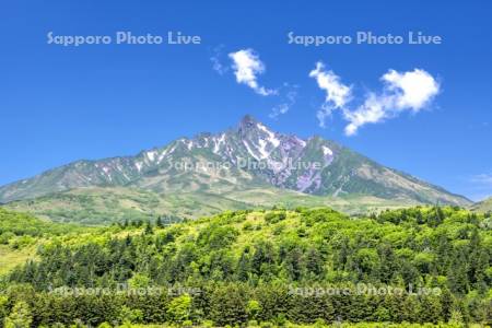 オタトマリ沼と利尻山