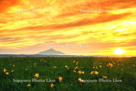 サロベツ原野夕景