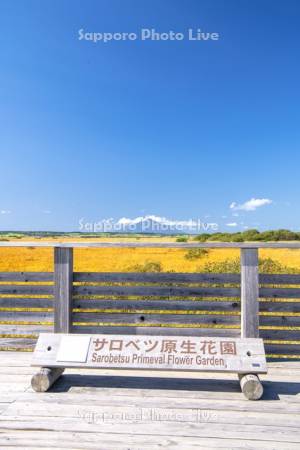 秋のサロベツ原生花園