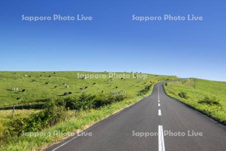 豊富町大規模草地育成牧場