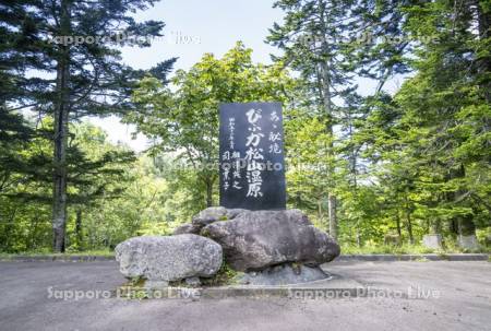 松山湿原石碑