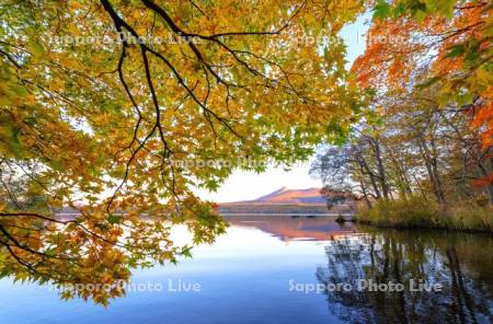 大沼の紅葉と朝焼けの駒ヶ岳