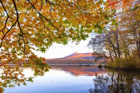 大沼の紅葉と朝焼けの駒ヶ岳