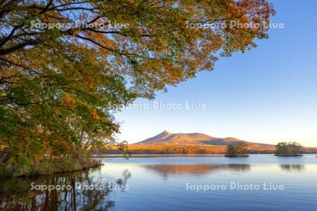 大沼の紅葉と駒ヶ岳