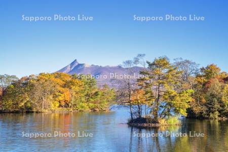 大沼の紅葉と駒ヶ岳