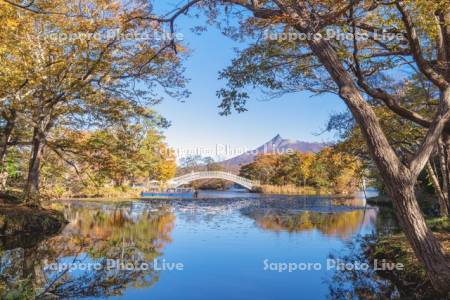 大沼の紅葉と駒ヶ岳