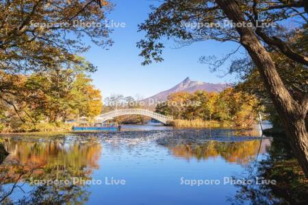 大沼の紅葉と駒ヶ岳