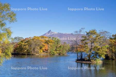 大沼の紅葉と駒ヶ岳