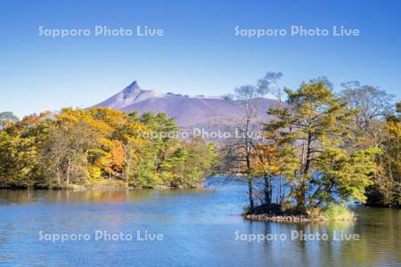 大沼の紅葉と駒ヶ岳